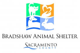 Bradshaw Shelter Logo